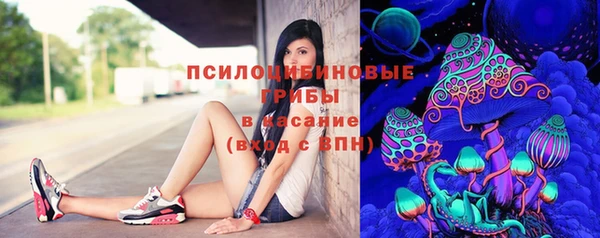винт Бородино