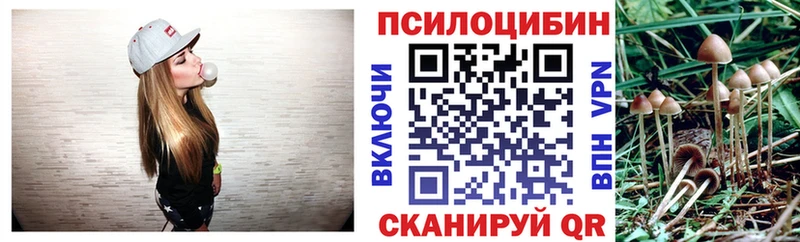 где можно купить наркотик  Нелидово  Галлюциногенные грибы прущие грибы 
